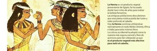 Egyptian Henna Matizador Polvo X 500 Tono Rubio claro